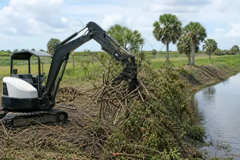 Excavator thumb tearing a berry-laden Brazilian pepper tangle away from a canal bank near Boca Raton, cabbage palms untouched behind