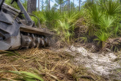 Mulcher head cutting through a dense wall of saw palmetto fans beneath scattered slash pines on a sandy scrub lot near Boca Raton