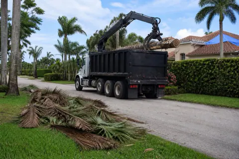 Claw loader lifting a broken royal palm over a debris-lined swale on a south Palm Beach County street after a hurricane